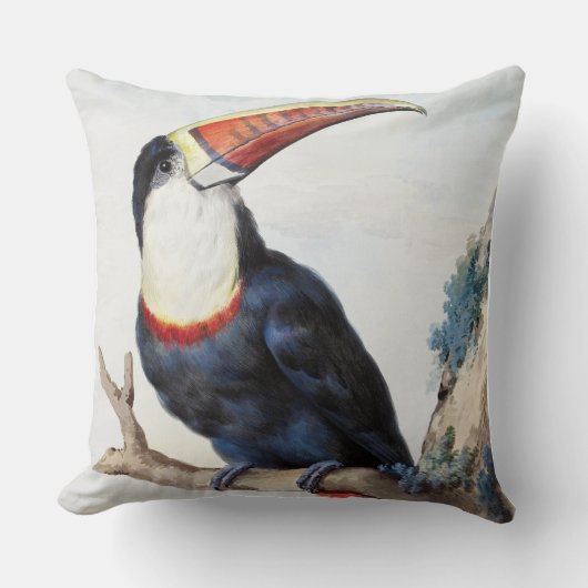 赤い請求済みトゥーカン(1748)by Aert Schouman クッション (正面)