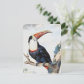 赤い請求済みトゥーカン(1748)by Aert Schouman 招待状 (スタンド正面)