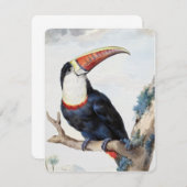 赤い請求済みトゥーカン(1748)by Aert Schouman 招待状 (正面/裏面)