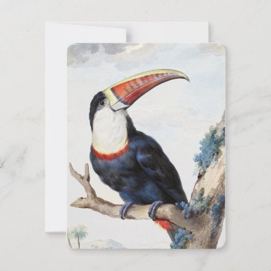 赤い請求済みトゥーカン(1748)by Aert Schouman 招待状 (正面)