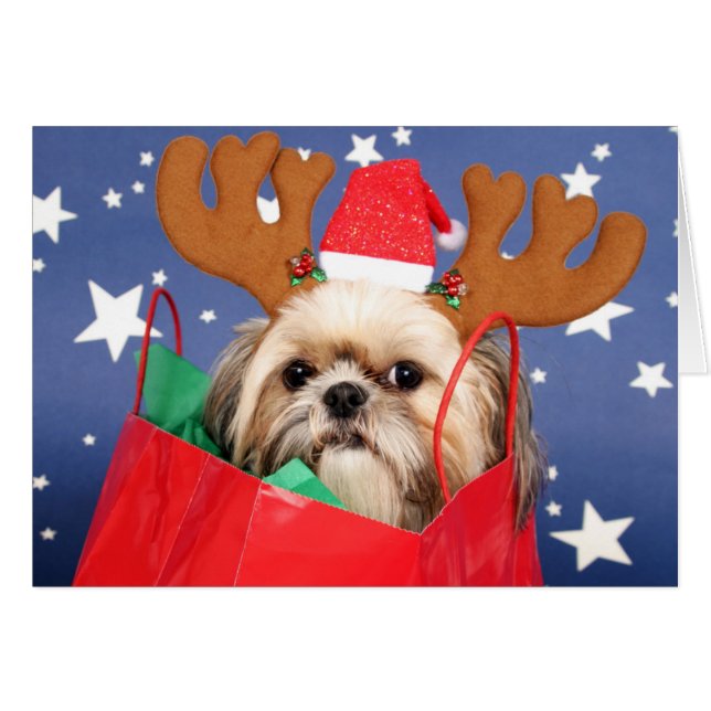 赤い買い物袋のシーズー（犬）のTzu犬 (正面横)