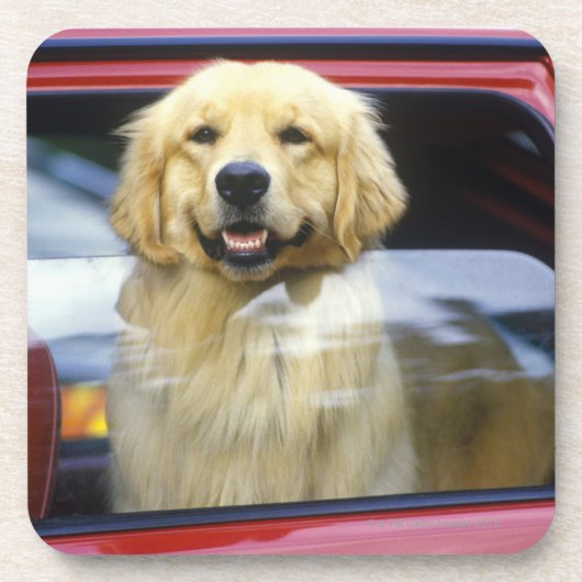 赤い車の窓の犬 コースター (正面)
