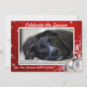 赤い輝く星クリスマスビッグフォトカード 招待状 (正面)