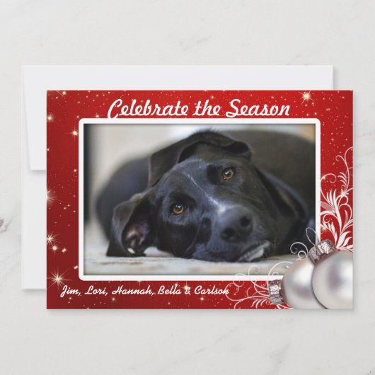 赤い輝く星クリスマスビッグフォトカード 招待状 (正面)