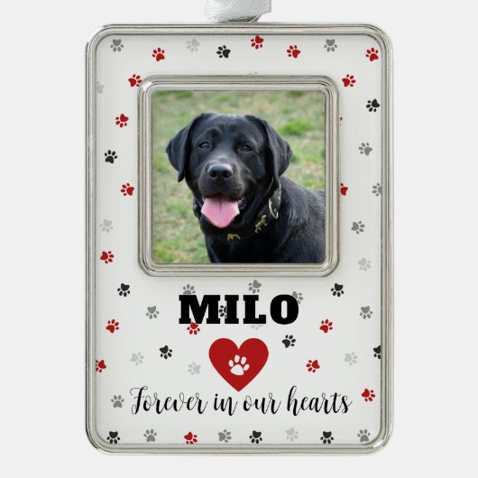 赤い追悼ペットロス犬の写真オーナメント シルバープレートフレームオーナメント (正面)