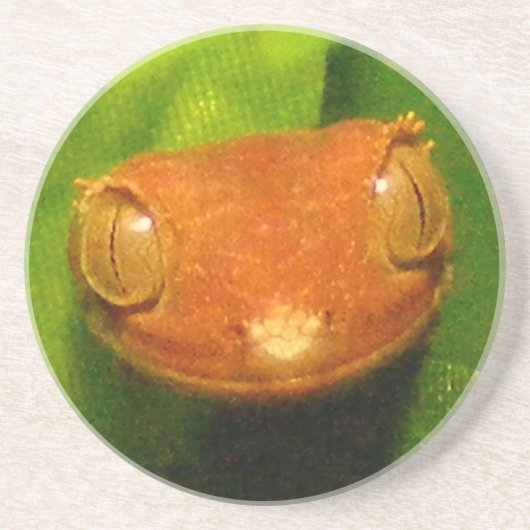 赤い道化師によって頂点に達されるヤモリ コースター (正面)