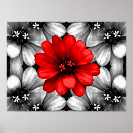 赤い違う花だ ポスター (正面)