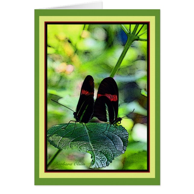 赤い郵便集配人: 蝶 (正面)