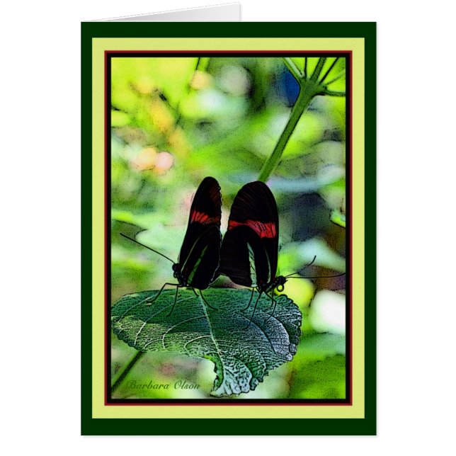 赤い郵便集配人: 蝶 (正面)