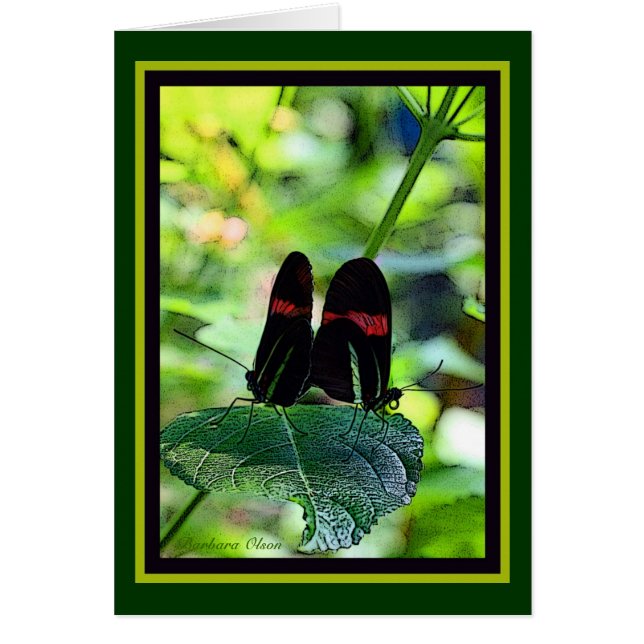 赤い郵便集配人: 蝶 (正面)