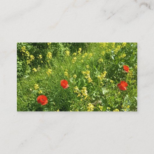 赤い野の花の草原の予約カード 予約カード (裏面)