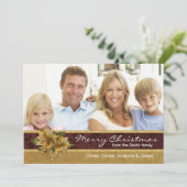 赤い金ゴールドのポインセチアの写真のクリスマスカード シーズンカード (スタンド正面)