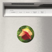 赤い金ゴールドバラ花びら雨滴フローラ写真 マグネット (インサイチュ (食洗機))