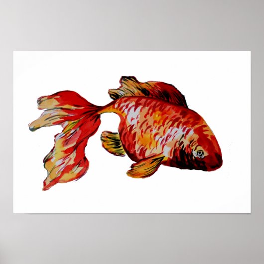 赤い金魚 ポスター (正面)