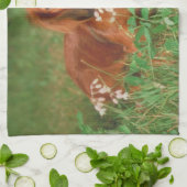 赤い長い髪のダックスフント犬の台所タオル キッチンタオル (折り畳み)