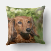 赤い長い髪のミニチュアダックスフント クッション (裏面)