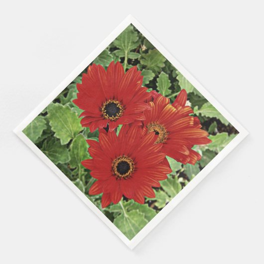 赤い開花の3つ (コーナー)