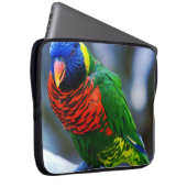 赤い青い緑のロリケートの鳥モダン撮影 ラップトップスリーブ (正面右)