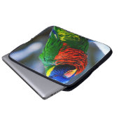 赤い青い緑のロリケートの鳥モダン撮影 ラップトップスリーブ (正面下部)