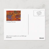 赤い青とオレンジの花 ポストカード (裏面)