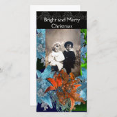 赤い青のポインセチア、キラキラ輝くクリスマススター シーズンカード (正面/裏面)