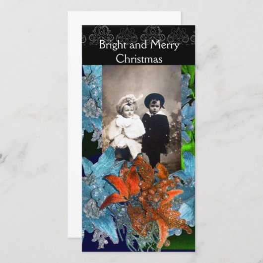 赤い青のポインセチア、キラキラ輝くクリスマススター シーズンカード (正面/裏面)