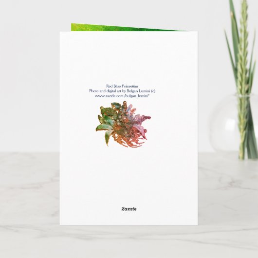 赤い青のポインセティアス、クリスマスが金ゴールドのキラキラ輝く シーズンカード (裏面)