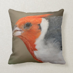 赤い頂点に達された(鳥)ショウジョウコウカンチョウ クッション