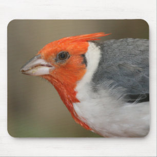 赤い頂点に達された(鳥)ショウジョウコウカンチョウ マウスパッド