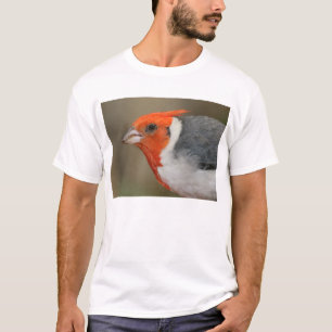 赤い頂点に達された(鳥)ショウジョウコウカンチョウ Tシャツ