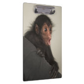 赤い顔のスパイダーモンキーアテルパンスカス) クリップボード (右)