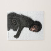 赤い顔のスパイダーモンキー – Ateles paniscus (3) ジグソーパズル (横)