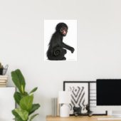 赤い顔のスパイダーモンキー – Ateles paniscus (3) ポスター (ホームオフィス)