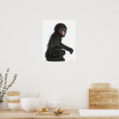 赤い顔のスパイダーモンキー – Ateles paniscus (3) ポスター (キッチン)