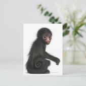 赤い顔のスパイダーモンキー – Ateles paniscus (3) ポストカード (スタンド正面)