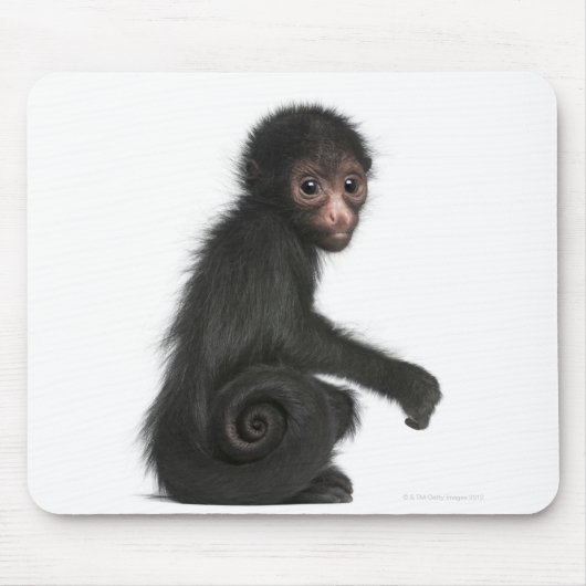 赤い顔のスパイダーモンキー – Ateles paniscus (3) マウスパッド (正面)