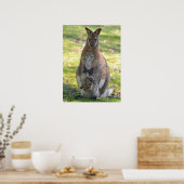 赤い首のワラビーとそのジョイ葉書 ポスター (キッチン)