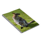 赤い首のワラビーとそのジョーイ ノートブック (右側)