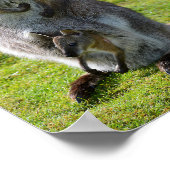 赤い首のワラビーとそのジョーイ ポスター (角)