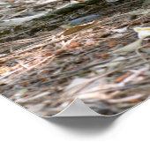 赤い首のワラビーとその陽気な休日 ポスター (角)