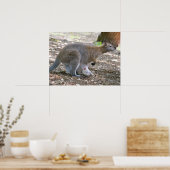 赤い首のワラビーとその陽気な休日 ポスター (キッチン)