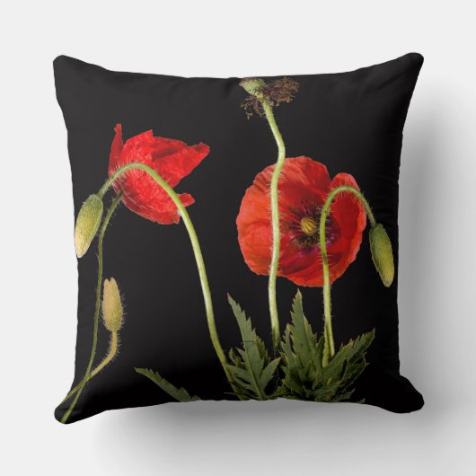 赤い鮮やかケシが黒に クッション (裏面)