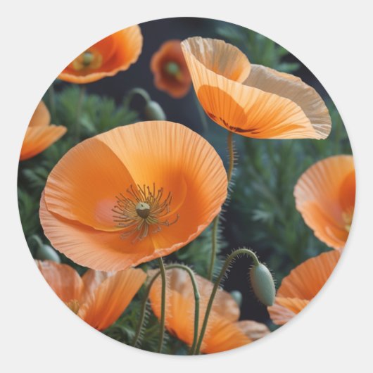 赤い鮮やかケシの花 ラウンドシール (正面)