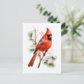 赤い鮮やか（鳥）ショウジョウコウカンチョウの冬 – Bird Greeting Car ポストカード (スタンド正面)