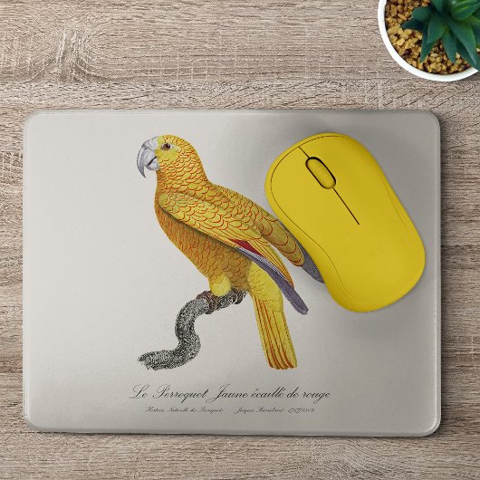 赤い鱗の黄色いパロット マウスパッド