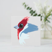 赤い鳥冠の(鳥)ショウジョウコウカンチョウ鳥 カード (スタンド正面)