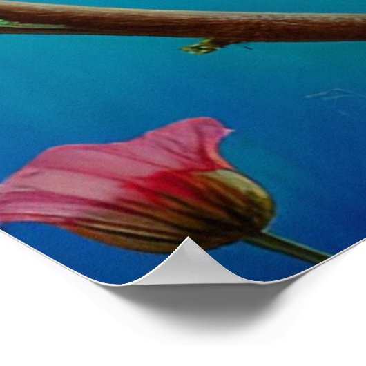 赤い鳥花 ポスター (角)