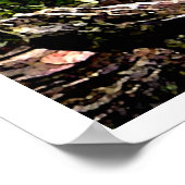 赤い鳥 ポスター (角)