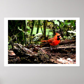 赤い鳥 ポスター