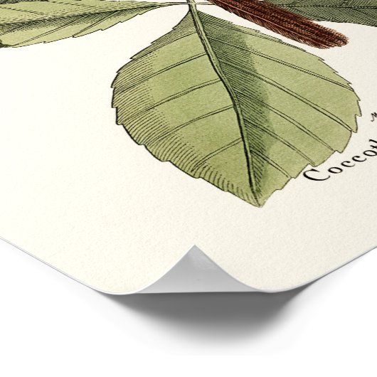 赤い鳥 – Seligmann ポスター (角)